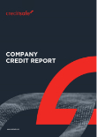 Creditsafeビジネスインデックスレポート
