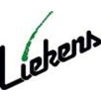 Creditsafe Business Index Bericht