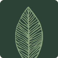 Rapport Creditsafe Business Index