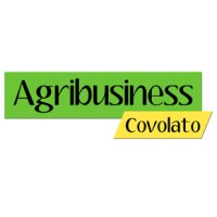 Rapport Annuaire Creditsafe des Entreprises 