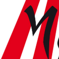 Creditsafes Business Index-rapport