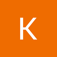 Creditsafe Business Index Bericht