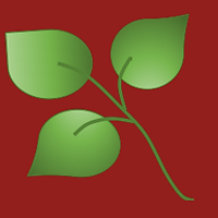 Creditsafe Business Index Report