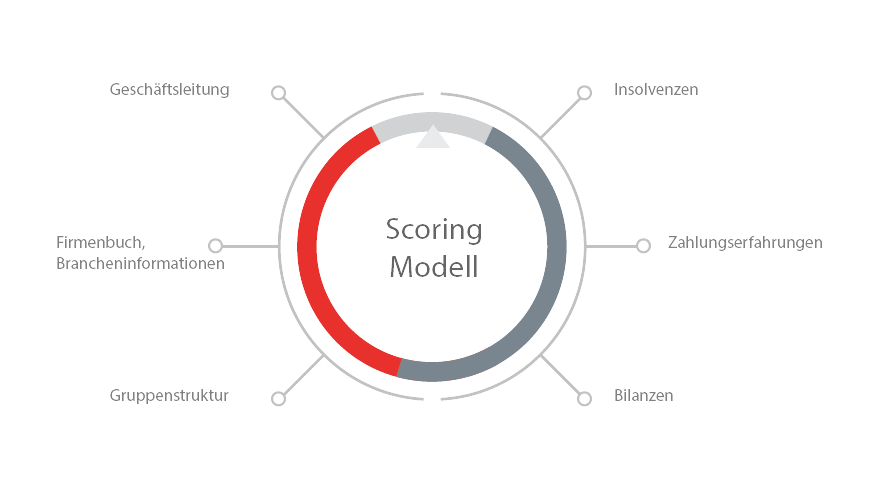 Scoring-Modell Kreditrisiko
