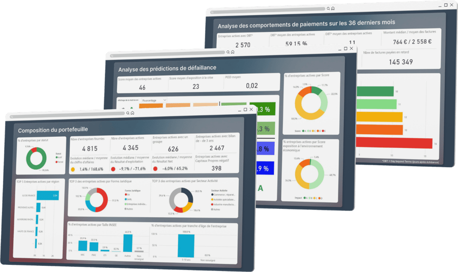 aperçu portfolio data analytics creditsafe