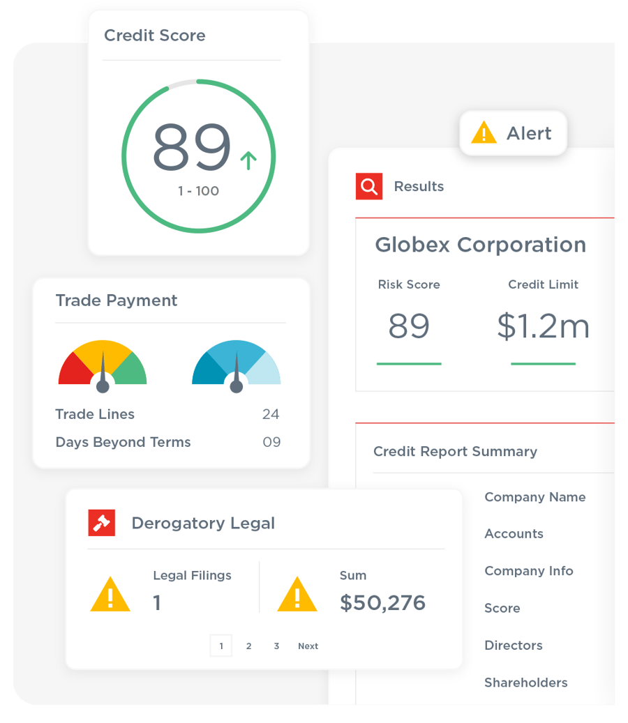 Credit Business Report
