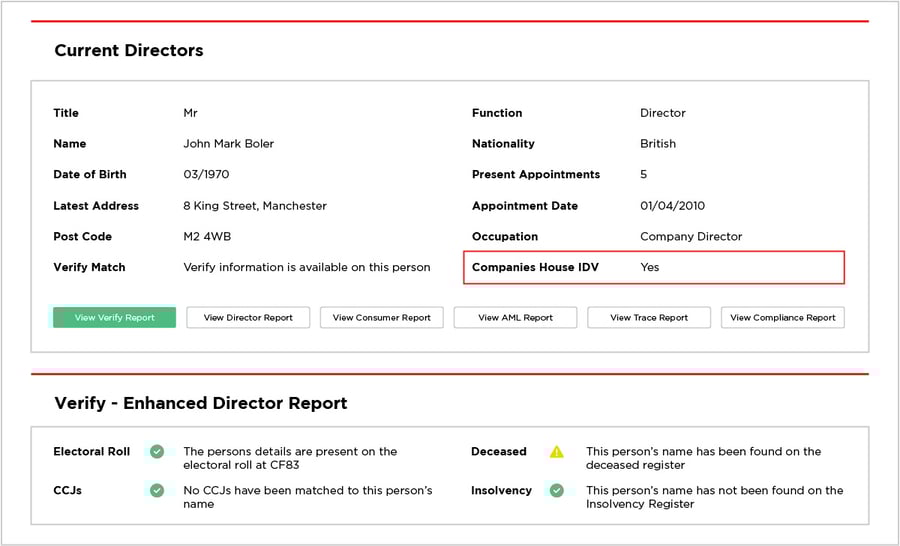 Director Summary with IDV Flag Highlighted