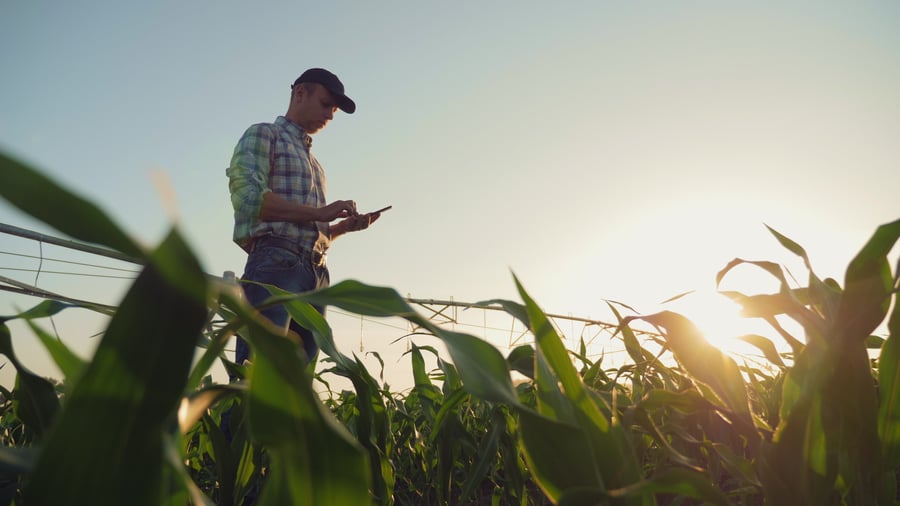 A farmer checking something on his phone while standing in his field