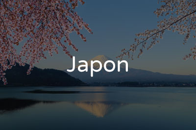 Creditsafe Japon