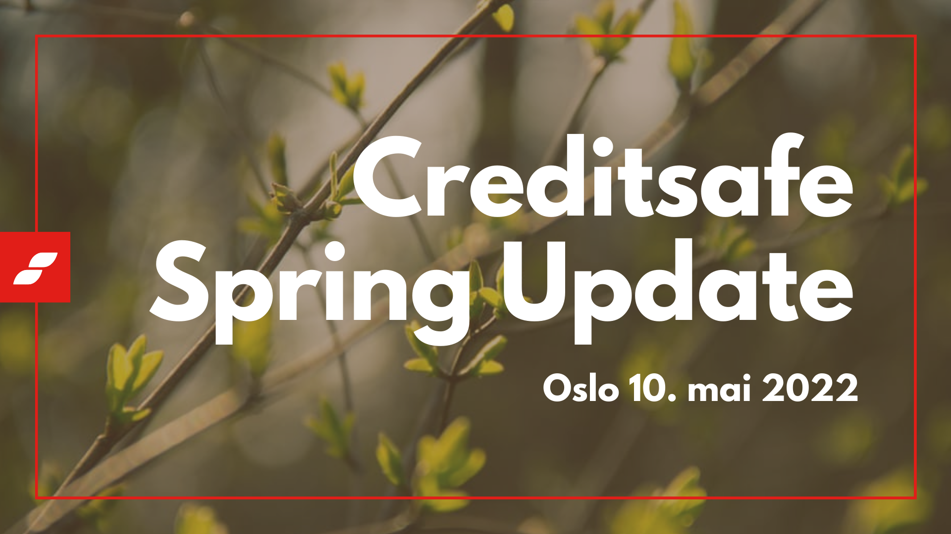 Creditsafe Spring Update