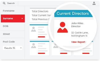 director search