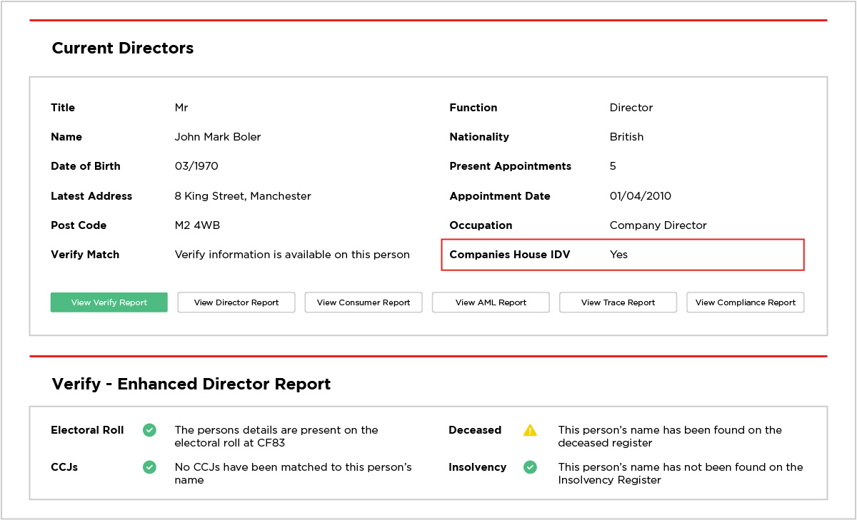 Director Summary with IDV Flag Highlighted