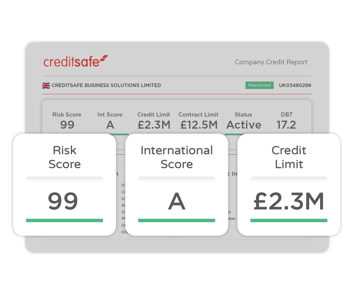 International Credit Report showing Credit Score, International Score and Credit Limit