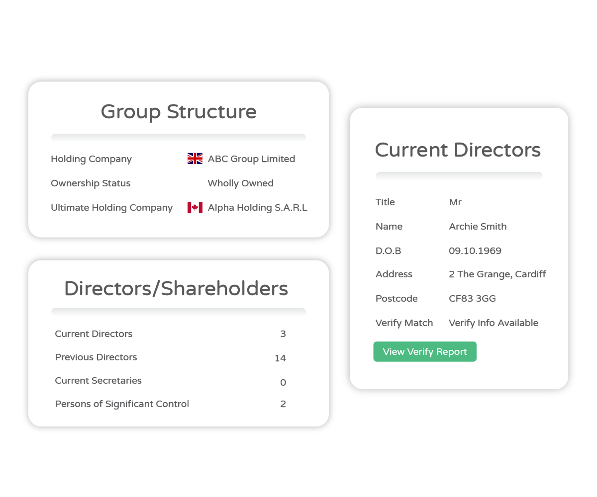 Company Credit Report showing Group Structure, Current Directors and Shareholders.