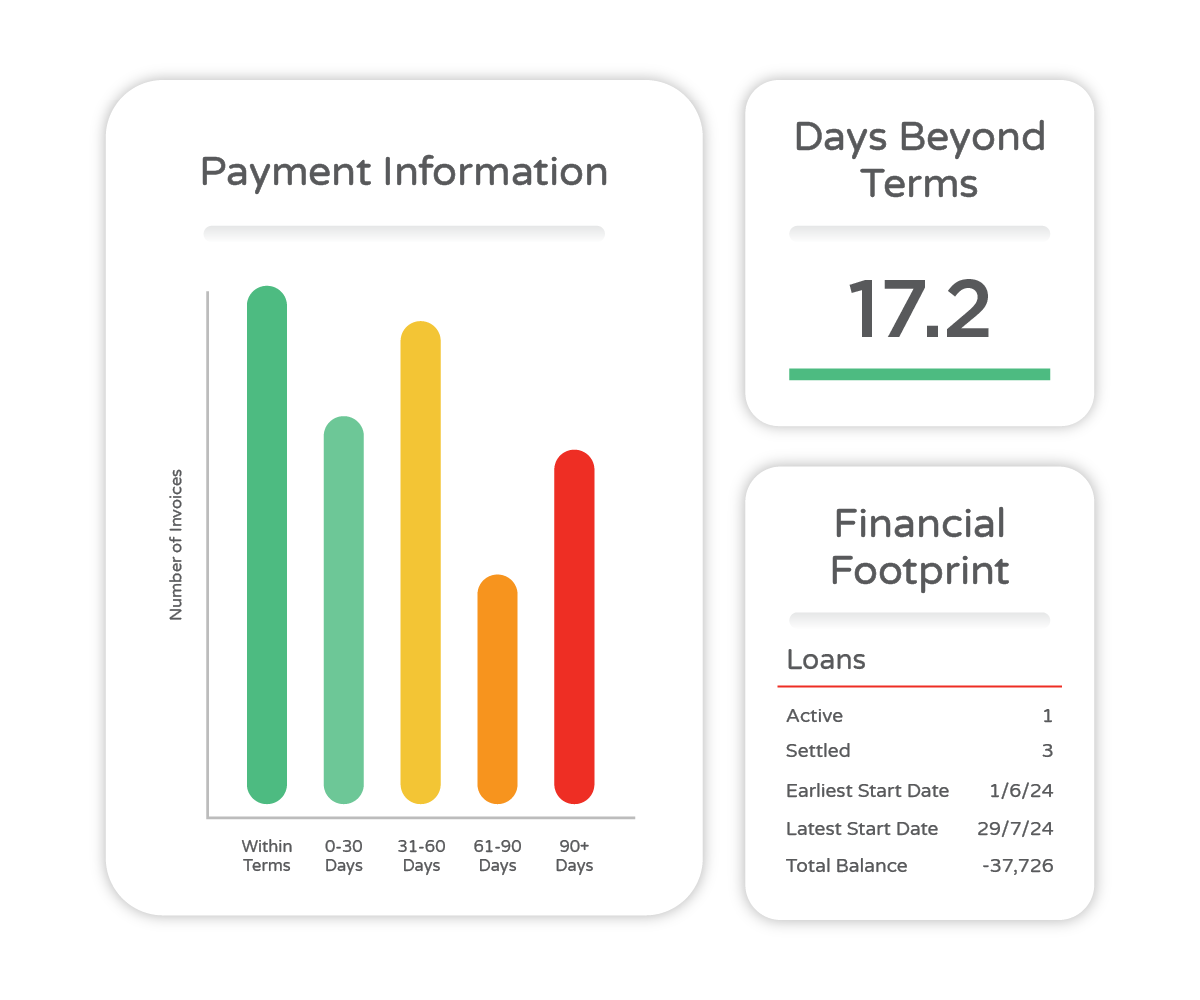 Company Credit Report showing Payment History, Days Beyond Terms, and Financial Data